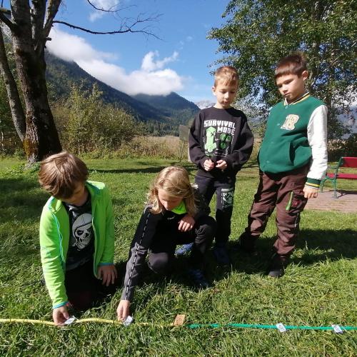 Wald- und Wiesentag