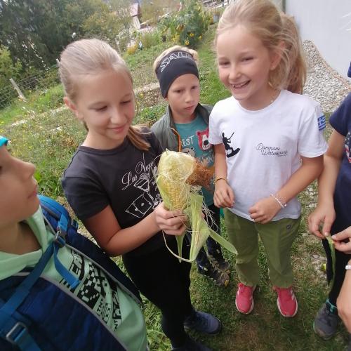 Projekt Schulgarten