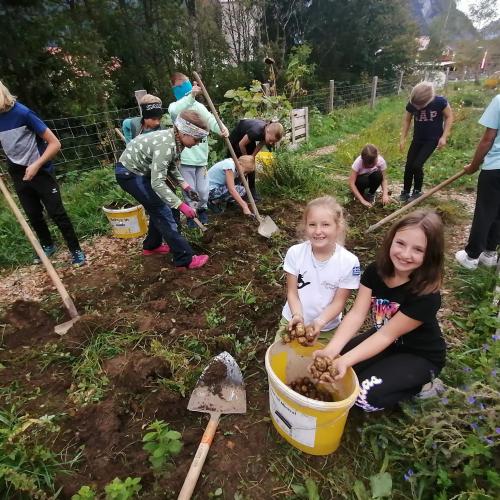 Projekt Schulgarten