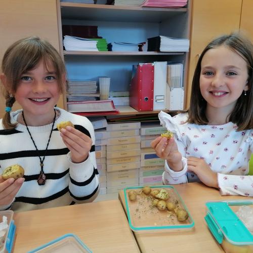 Projekt Schulgarten