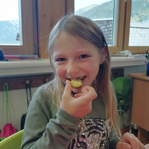 Projekt Schulgarten