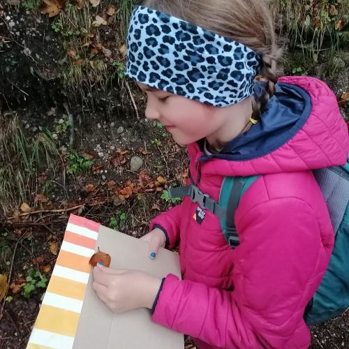 Wald- und Wiesentag 09.10.2024
