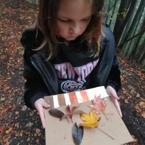 Wald- und Wiesentag 09.10.2024