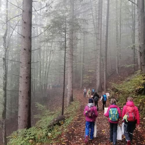 Wald- und Wiesentag 09.10.2024