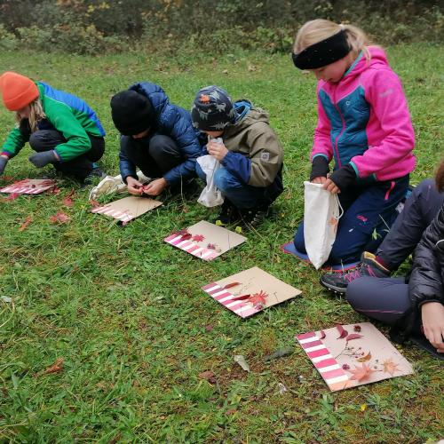 Wald- und Wiesentag 09.10.2024