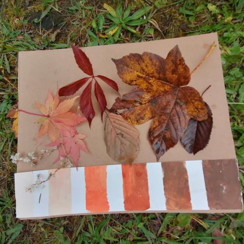 Wald- und Wiesentag 09.10.2024