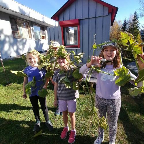 Projekt Schulgarten