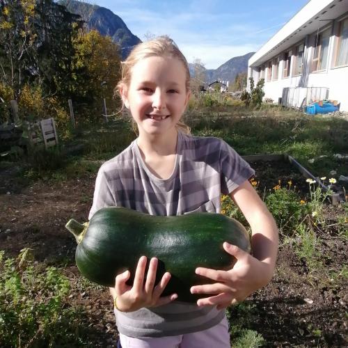 Projekt Schulgarten