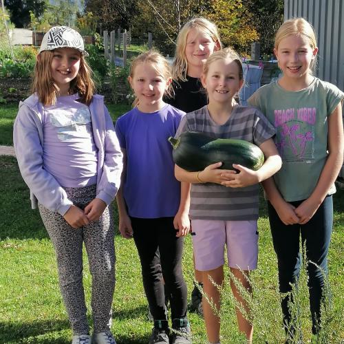 Projekt Schulgarten