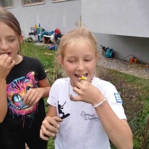 Projekt Schulgarten