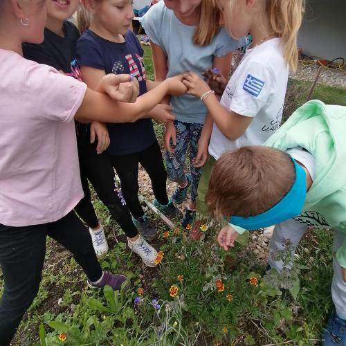 Projekt Schulgarten