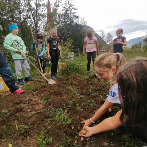 Projekt Schulgarten