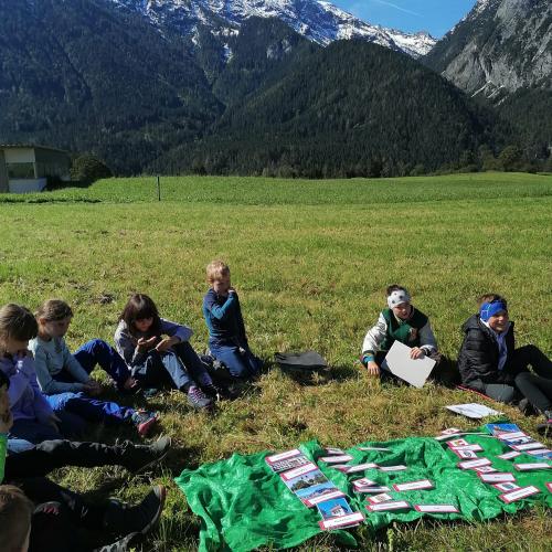 Wald- und Wiesentag