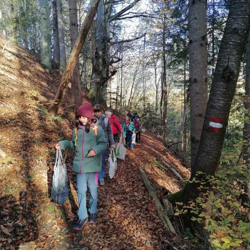 Wald- und Wiesentag 05.11.2024