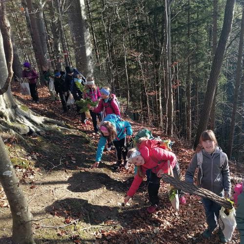 Wald- und Wiesentag 05.11.2024