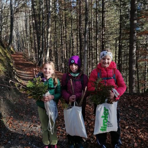 Wald- und Wiesentag 05.11.2024