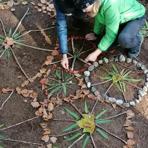 Wald- und Wiesentag 05.11.2024