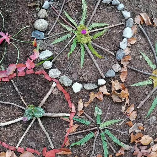Wald- und Wiesentag 05.11.2024