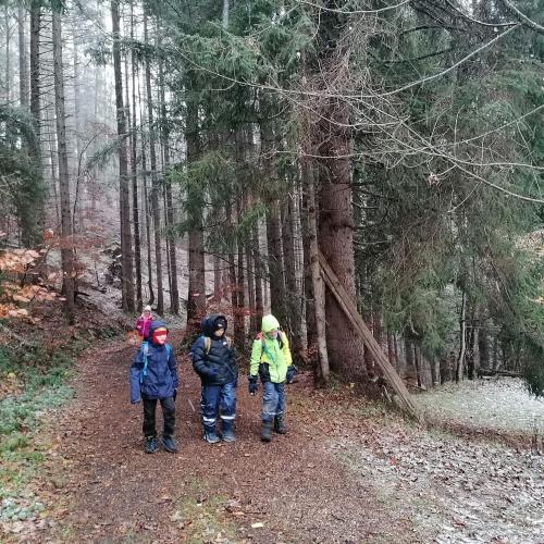 Wald- und Wiesentag 20.11.2024
