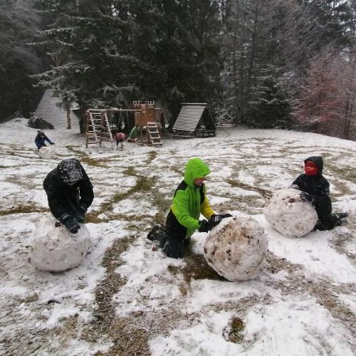 Wald- und Wiesentag 20.11.2024