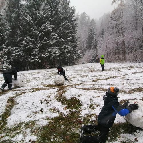 Wald- und Wiesentag 20.11.2024