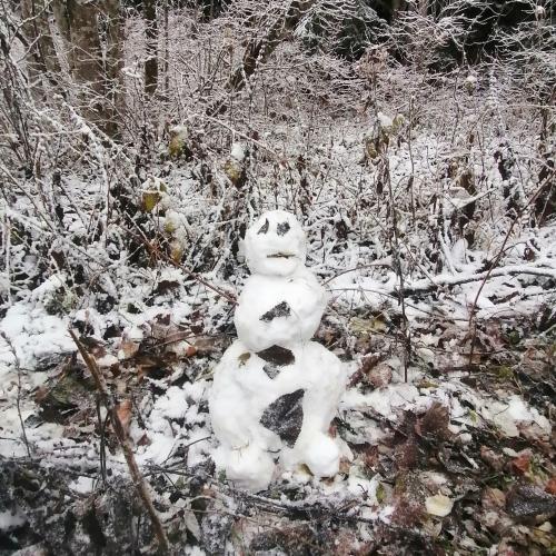 Wald- und Wiesentag 20.11.2024