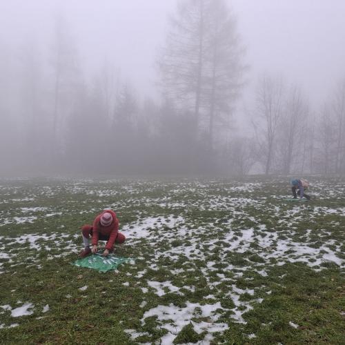 Wald- und Wiesentag 27.11.2024