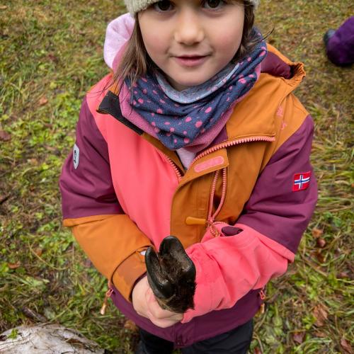 Naturparktag 04.12.2024