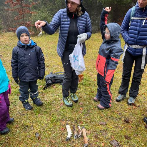 Naturparktag 04.12.2024