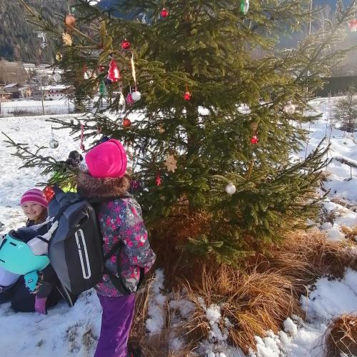 Wald- und Wiesentag 18.12.2024