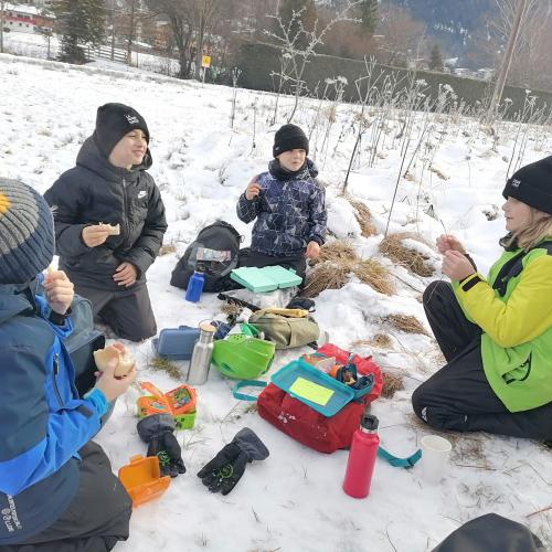 Wald- und Wiesentag 18.12.2024