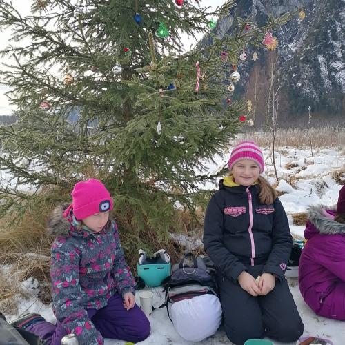 Wald- und Wiesentag 18.12.2024