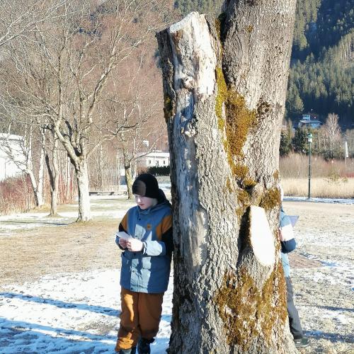 Wald- und Wiesentag 05.02.2025