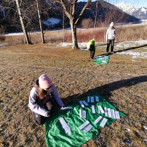 Wald- und Wiesentag 05.02.2025