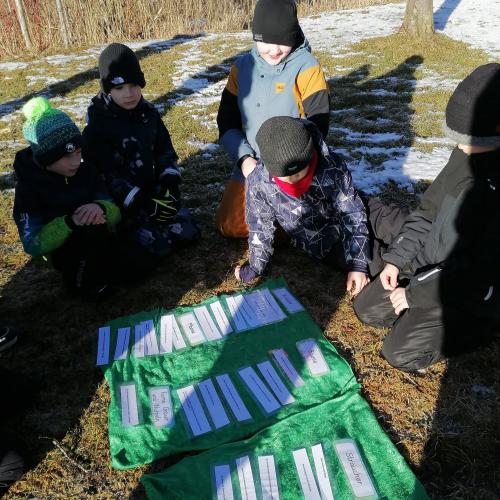 Wald- und Wiesentag 05.02.2025