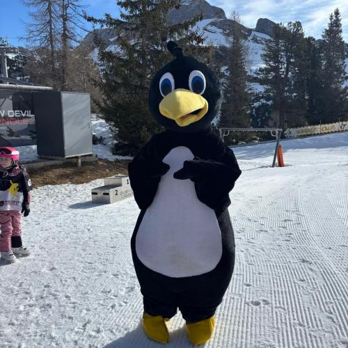 Skitage