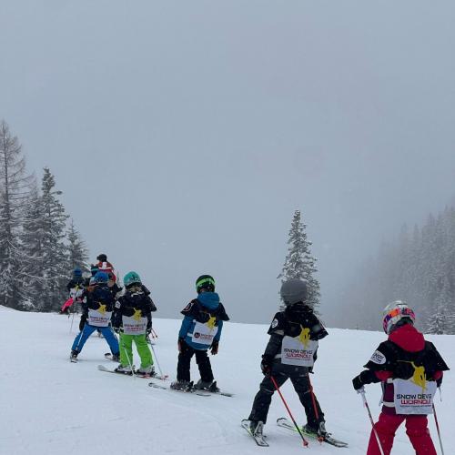 Skitage
