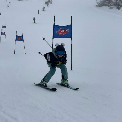 Skitage