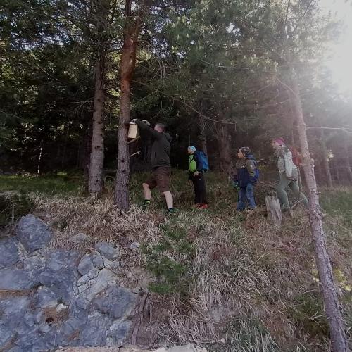 Lehrausgang mit Waldaufseher