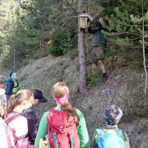 Lehrausgang mit Waldaufseher