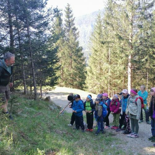 Lehrausgang mit Waldaufseher