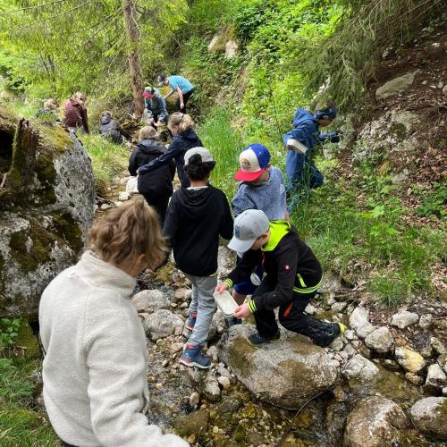 Naturparktag