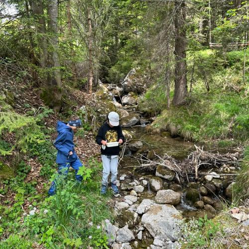 Naturparktag
