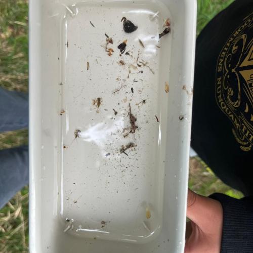 Naturparktag