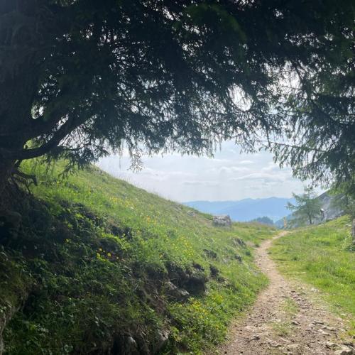 Wandertag 3a