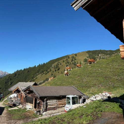 Wandertag Dalfazalm