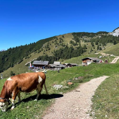 Wandertag Dalfazalm