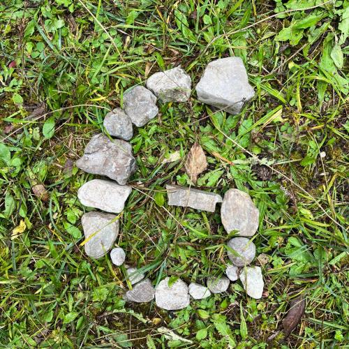 Wald- und Wiesentag 2b