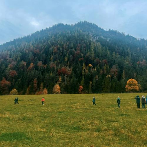 2025-10-23_2a_Pertisau-Pletzach_02