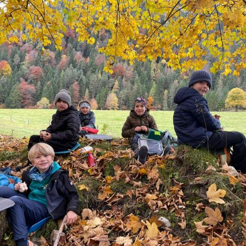 2025-10-23_2a_Pertisau-Pletzach_03